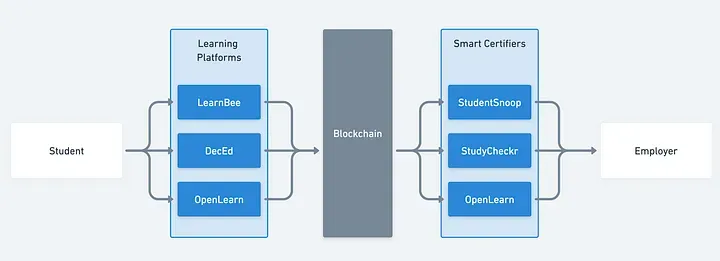 Organisations interpreting a learning blockchain